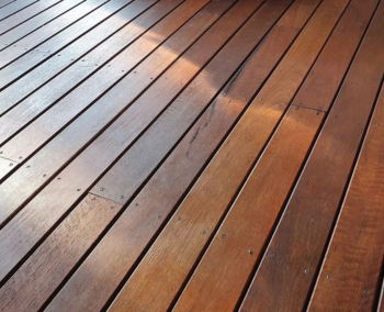 Untitled design - 2026-02-21T025243.700