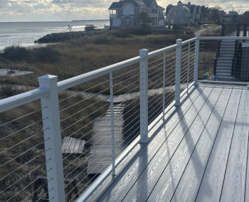 Untitled design - 2026-02-21T033503.412