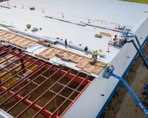 Untitled design - 2026-02-24T031154.502